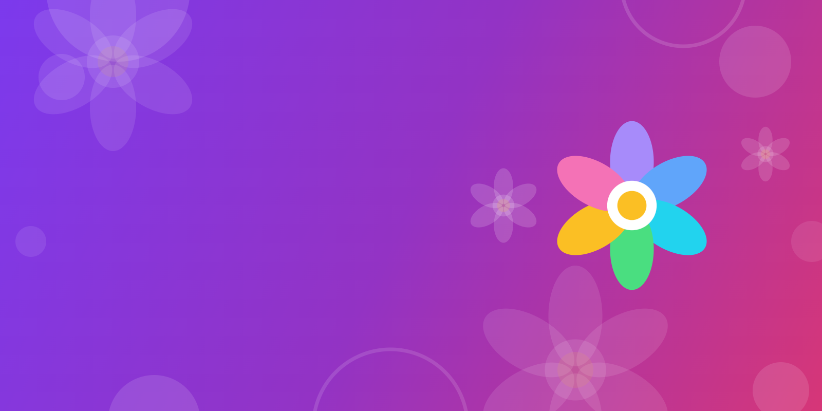 Banner Grădinița Bloom